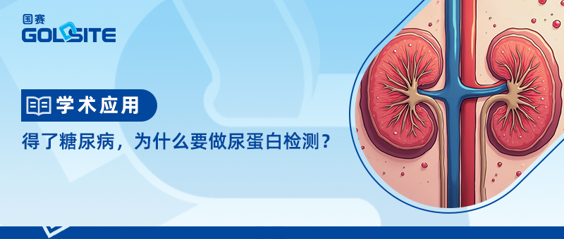 得了糖尿病，為(wèi)什么要做尿蛋白检测？