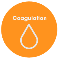 coagulation