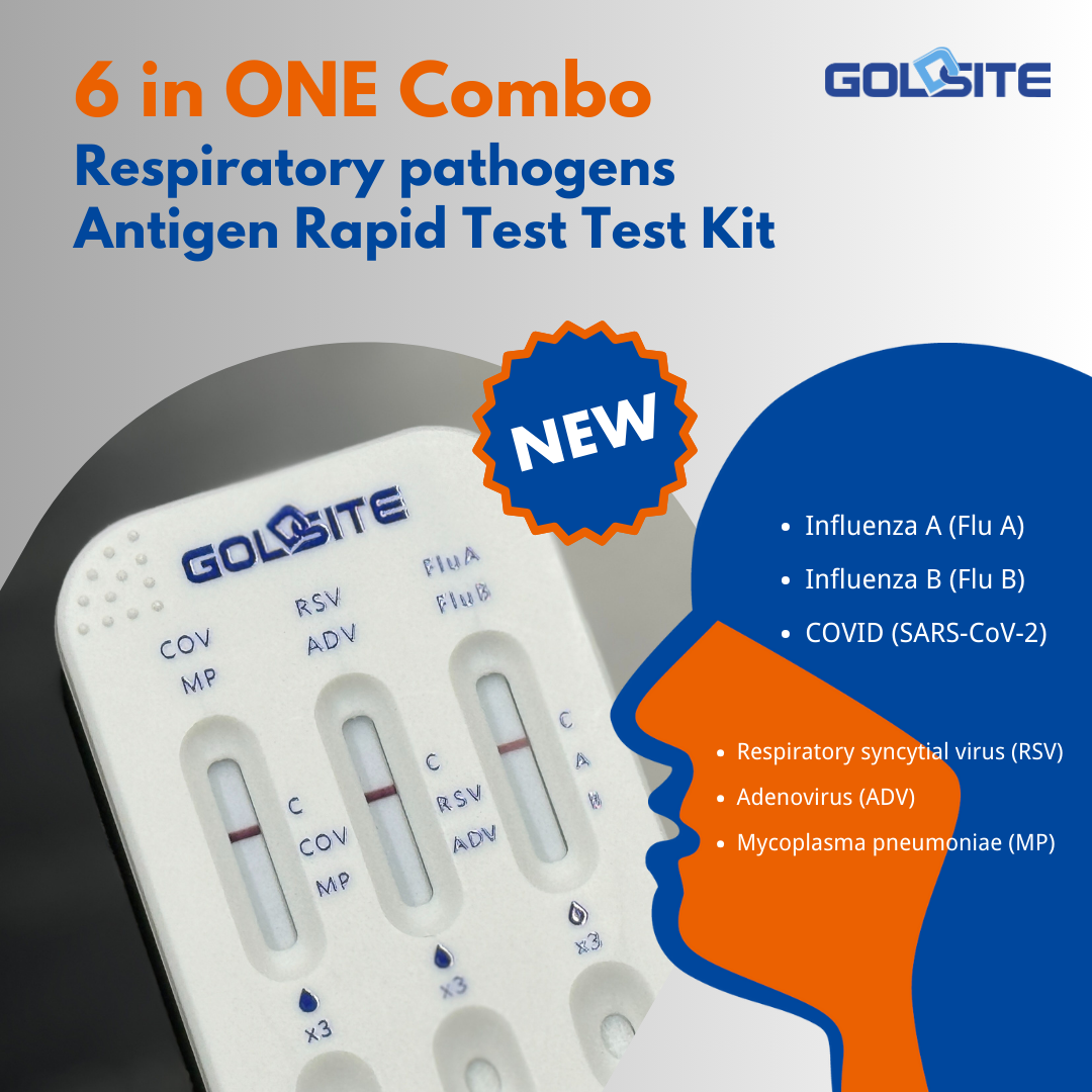 Goldsite 6 في التحرير والسرد واحد 3